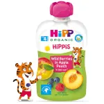 2331_HIPP BIO JABLKO BROSKEV LESNI OVOCE 100G PREDSNIDAVKA